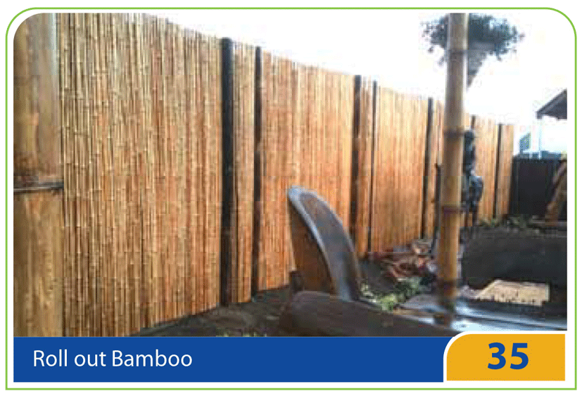 35 – Roll out Bamboo