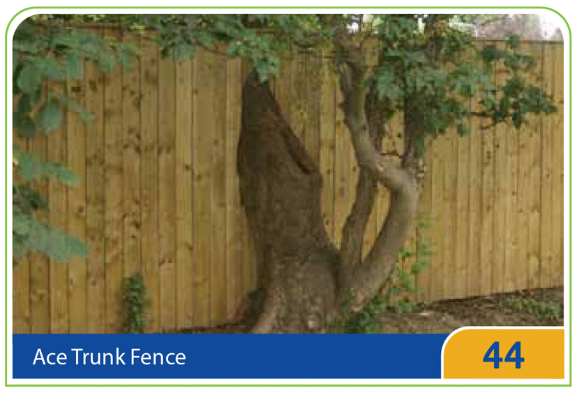44 – Ace Trunk Fence
